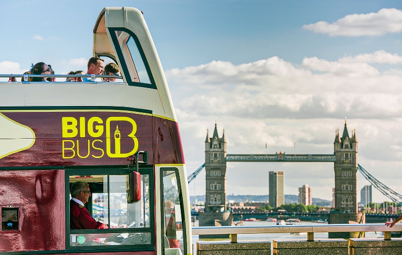 Big Bus Discover Ticket 24 Hours